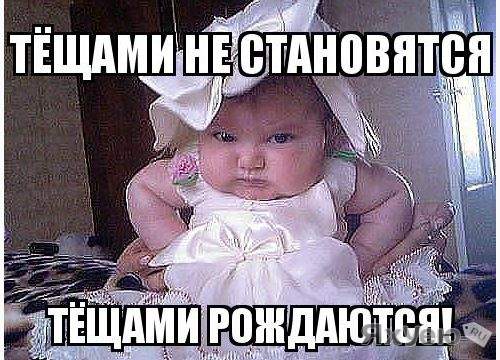 Вот и стала ты тещей поздравления Вот и стала ты тещей поздравления